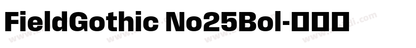 FieldGothic No25Bol字体转换